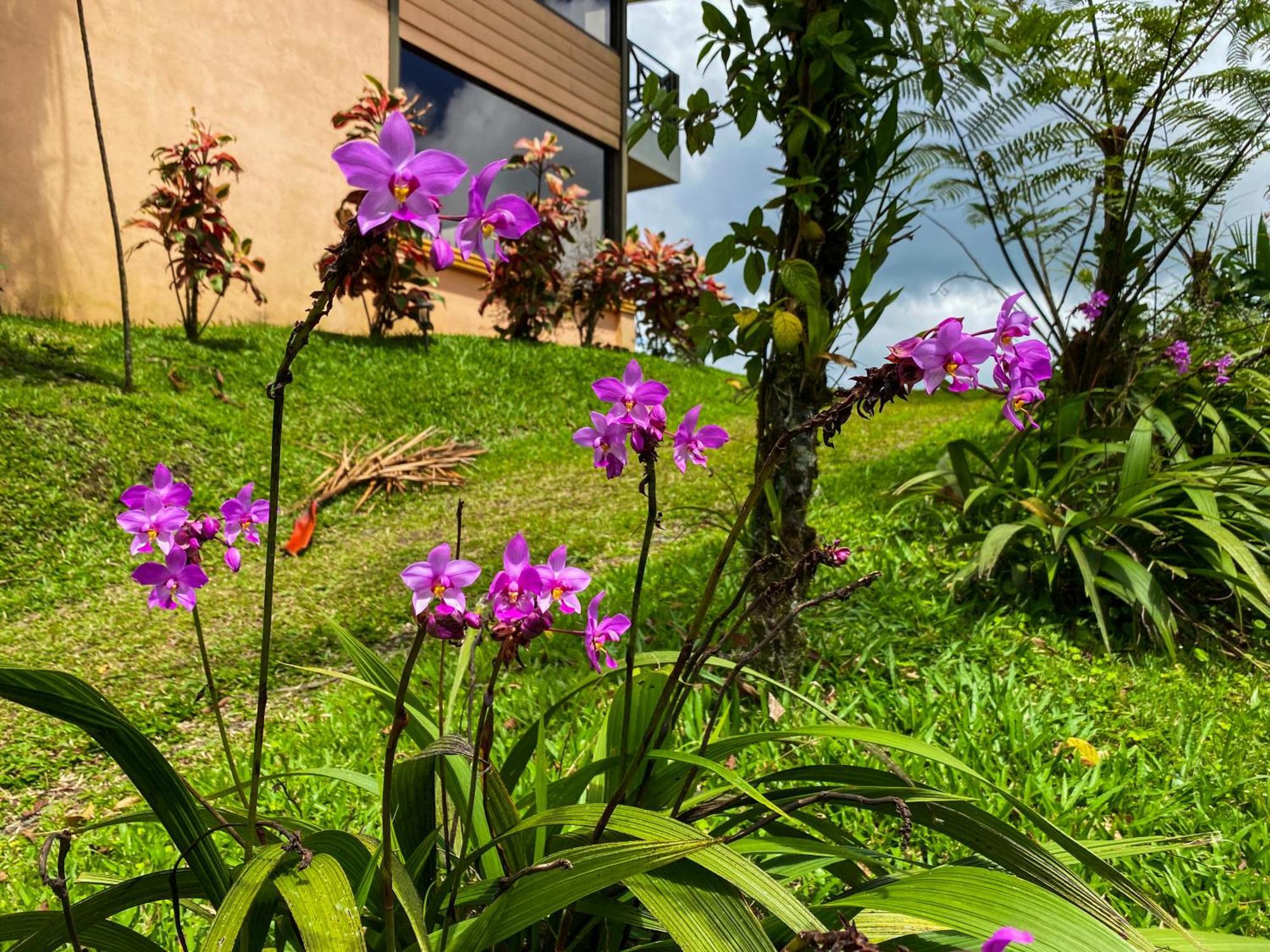 Arenal Garden Inn 3*