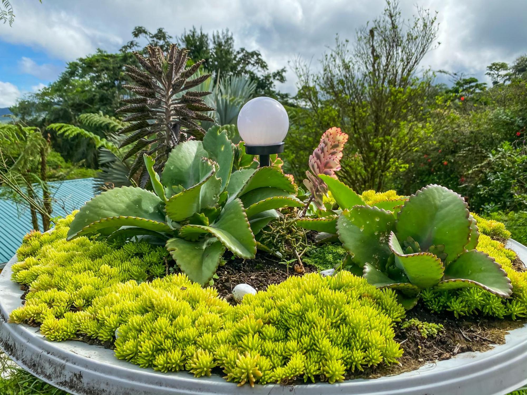 Inn Arenal Garden 3*